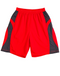 Adult Slamdunk Shorts