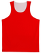 Adult Airpass Vest