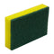 Green & Yellow Sponge Scourer - Pack of 10